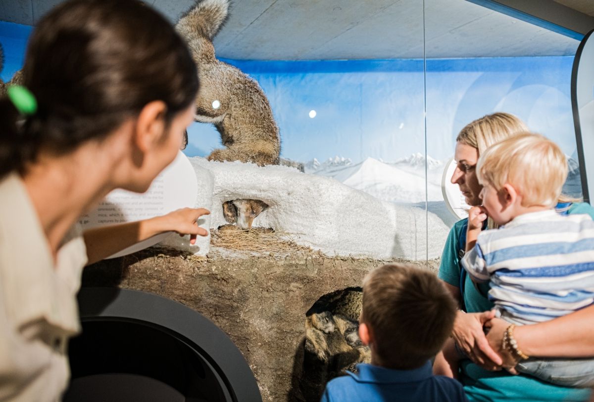 Familie bekommt von Nationalpark Mitarbeiterin Erklärung über den Fuchsbau